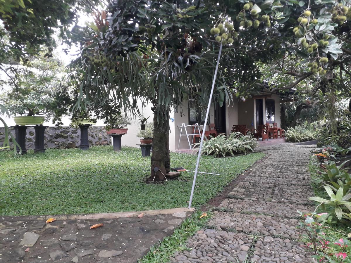 Banyu Homestay Banyuwangi  Exterior photo