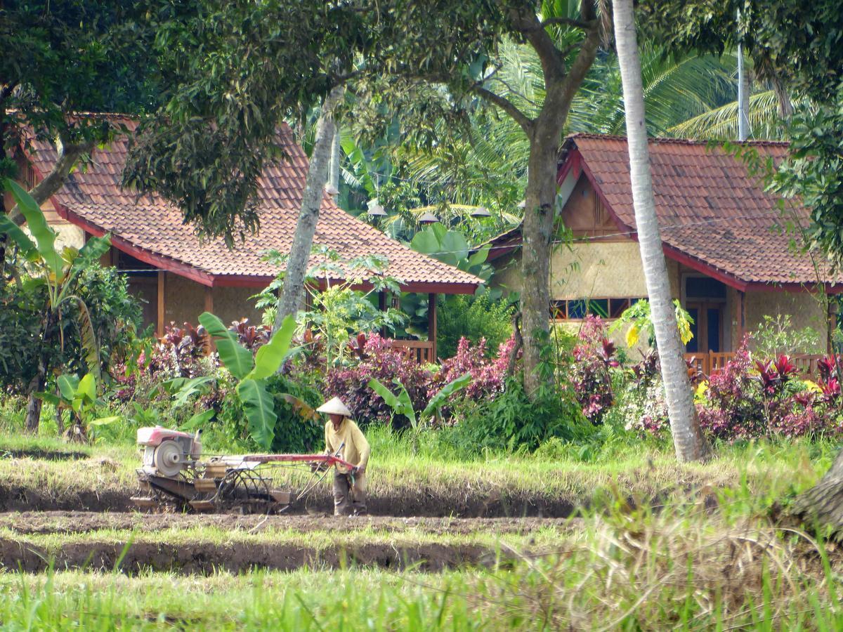 Banyu Homestay Banyuwangi  Exterior photo